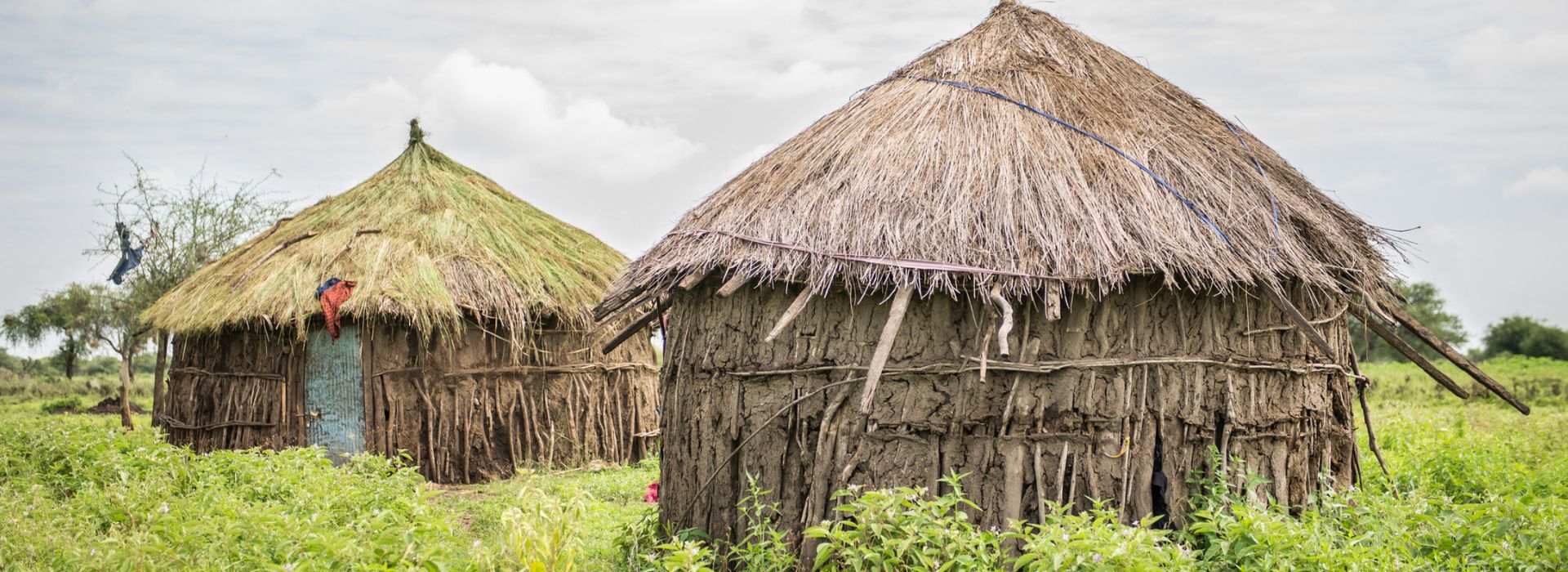 8 Days Cultural & Park Tours