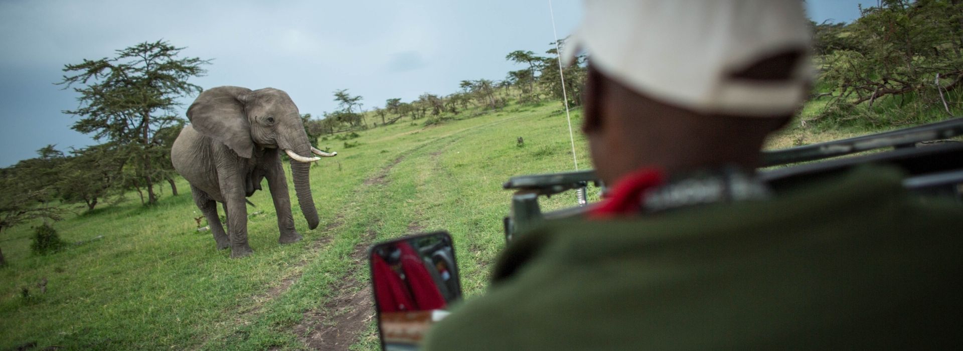 Game drive experience during a Tanzania safari