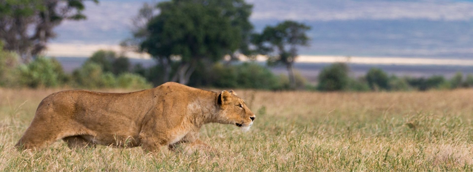 7 Days 6 Nights Safari