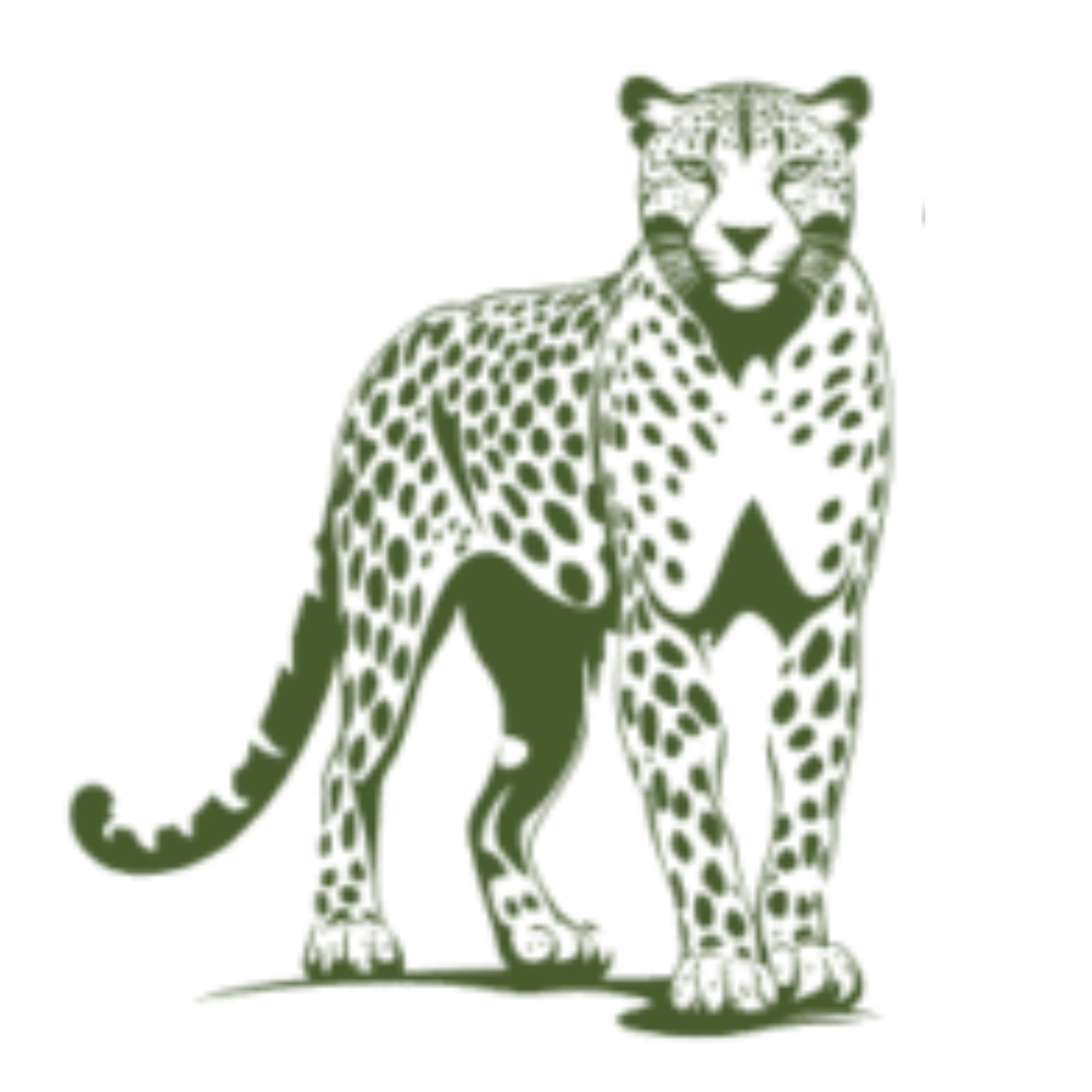 Marangu Eco Safari Tanzania