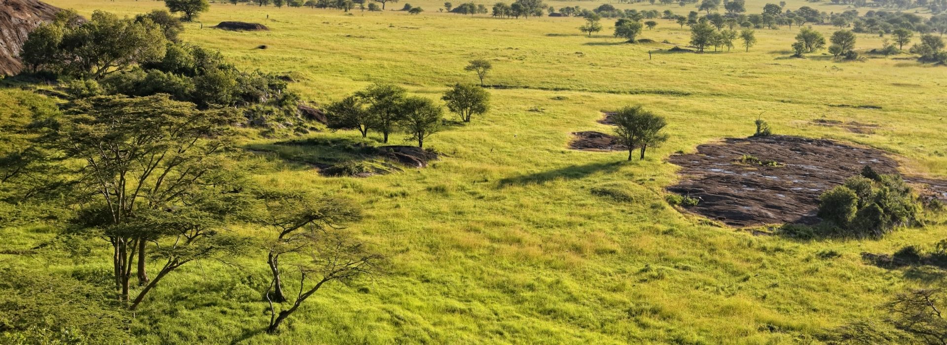 Green season landscape in the Serengeti