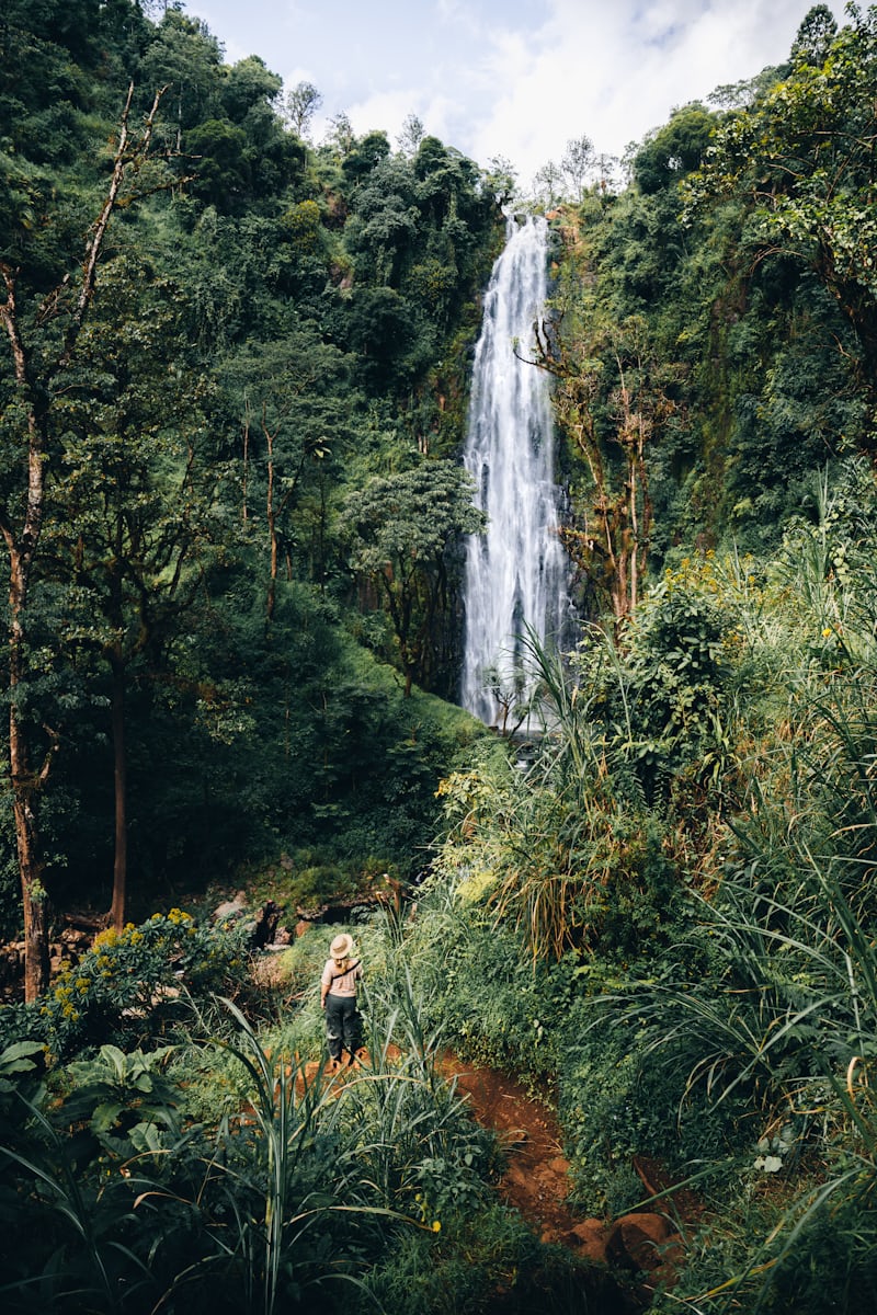 Day trip – Materuni Waterfall & Coffee Tour.