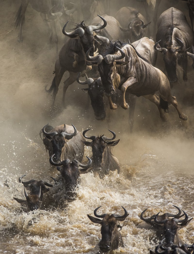 10 Days Great Migration Safari