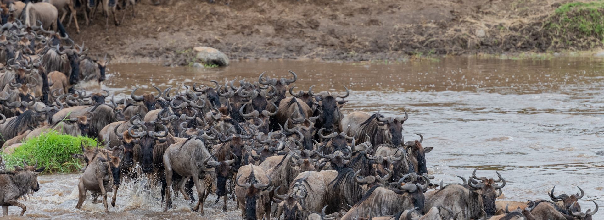 7 Days Great Migration Safari
