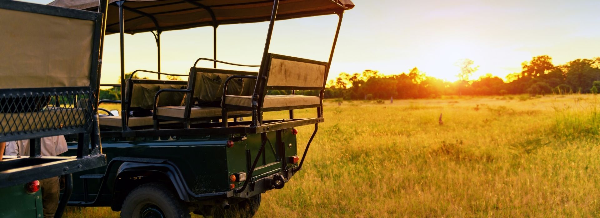 Safari at sunset in the African savannah
